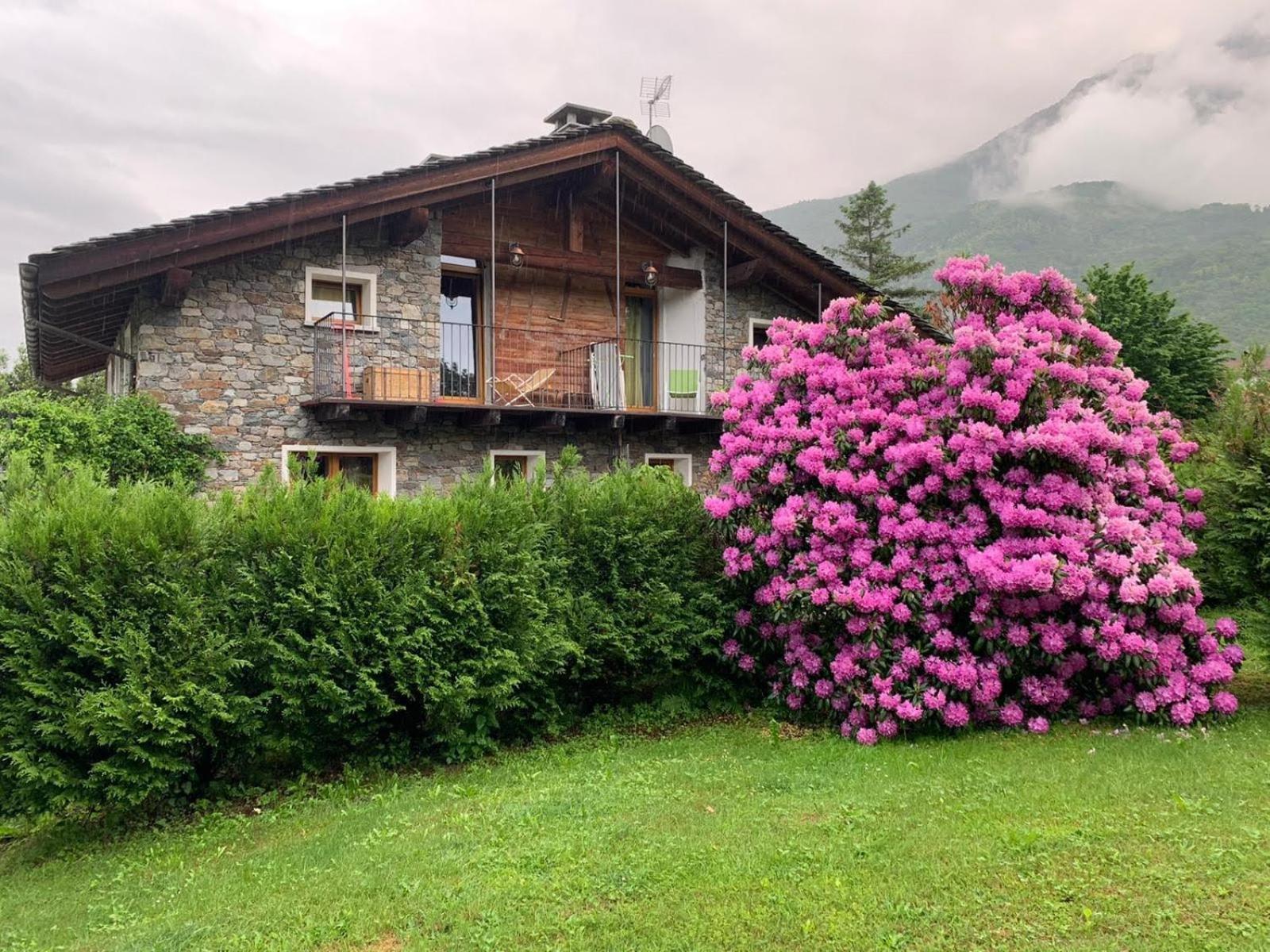 Casa Unica- Da Bruno Daire Colico Dış mekan fotoğraf
